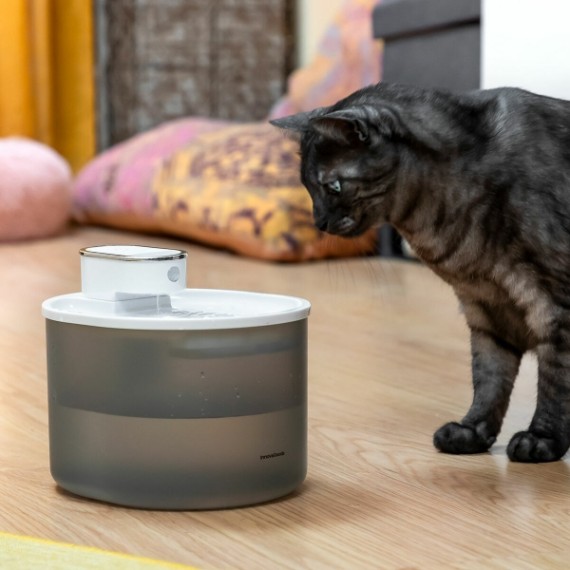 Fonte de Água para gatos com sensor de movimento