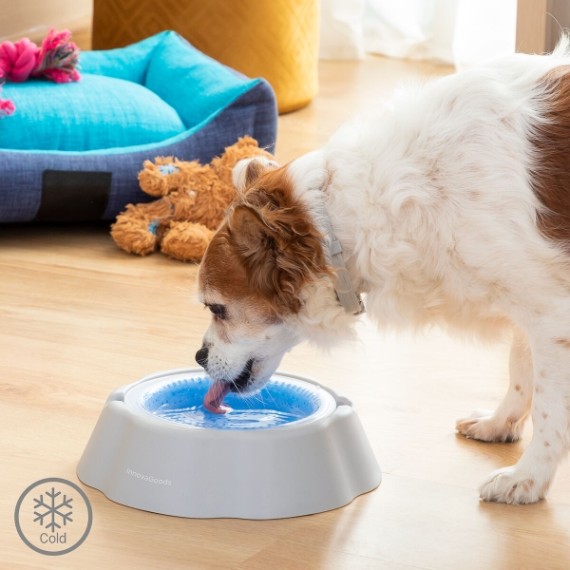 Bebedouro refrescante para animais de estimação